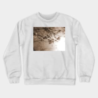 cherry blossoms in the sun, sepia Crewneck Sweatshirt